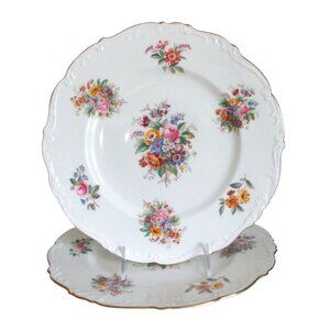 2 Vintage Coalport Fragrance Bone China Dinner Plates Replacement Dinnerware